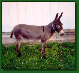 Lot #21 ~ West Prairie Leane